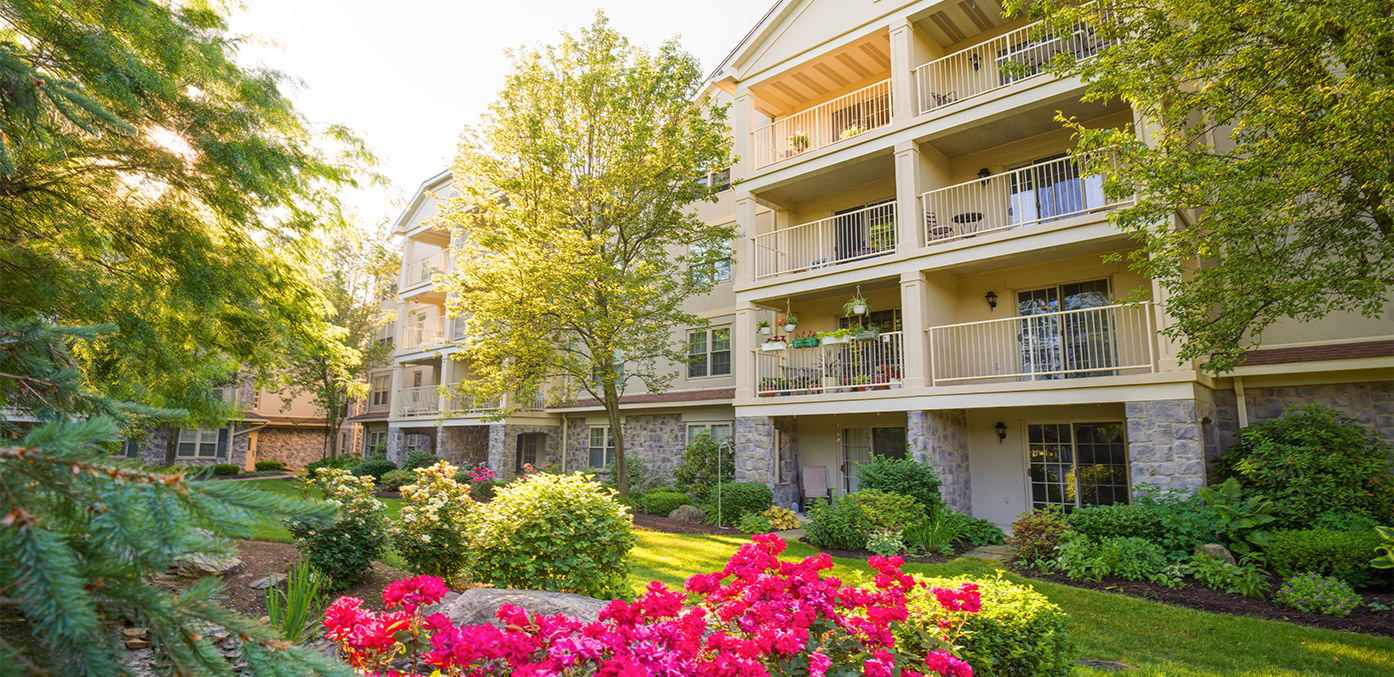 Sun shining down on garden full of trees, bushes, flowers, and grass located on the backside of residential apartments